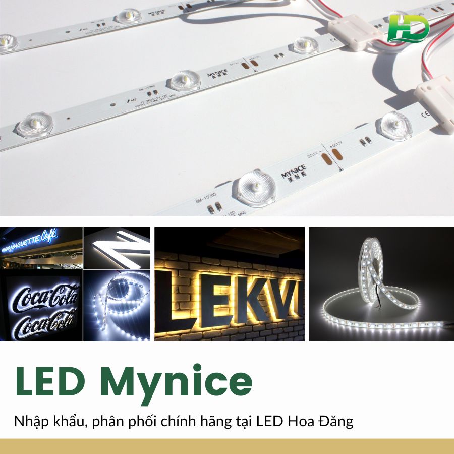 LED Mynice phân phối chính hãng tại LED Hoa Đăng