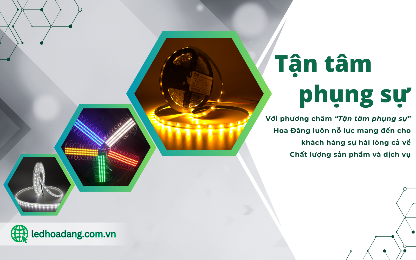 tan-tam-phung-su